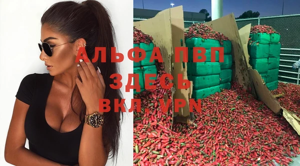 spice Россошь