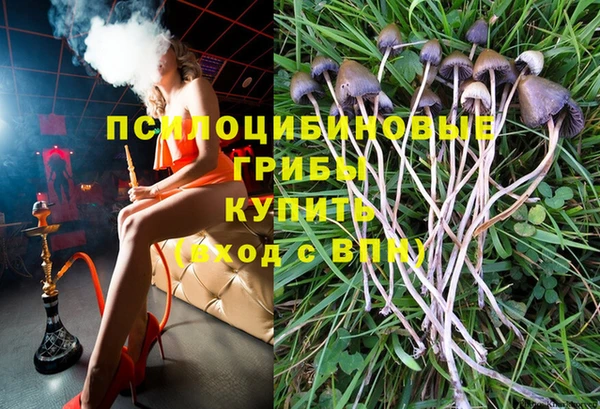 гидра Ростов